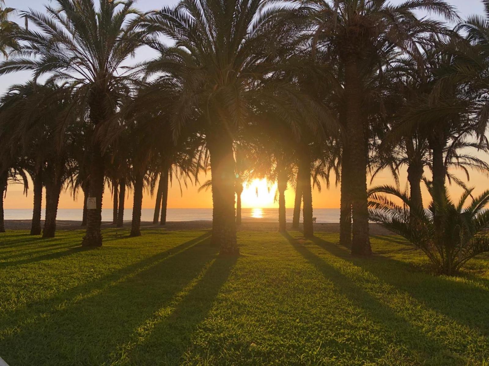 Apartamento Playamar - Torremolinos Primera Linea Playa Luaran gambar
